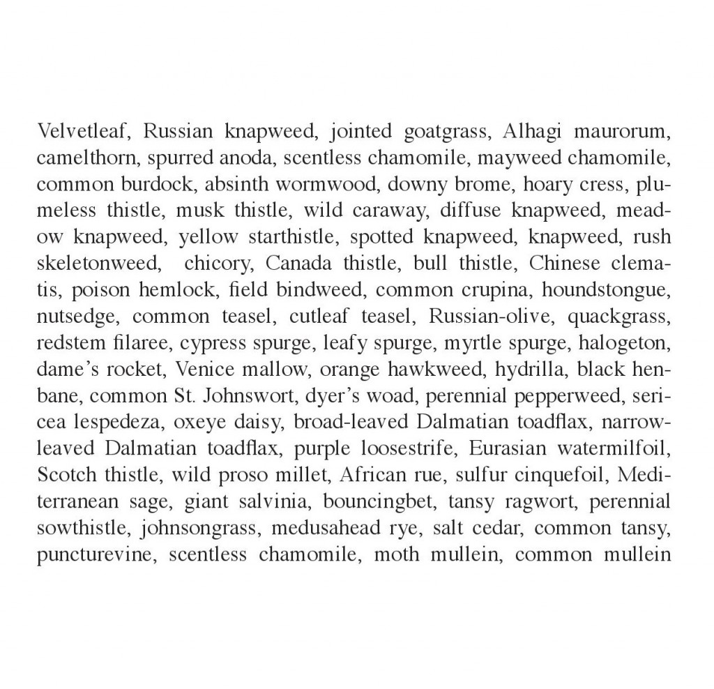 Concrete Jungle Excerpts for The Clearing-page-001