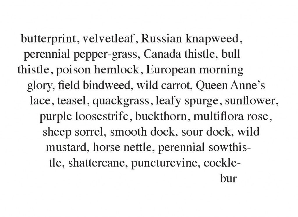 Concrete Jungle Excerpts for The Clearing-page-005