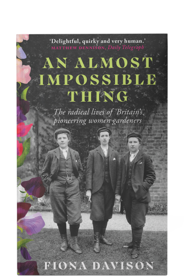 An Almost Impossible Thing by Fiona Davison (paperback edition)