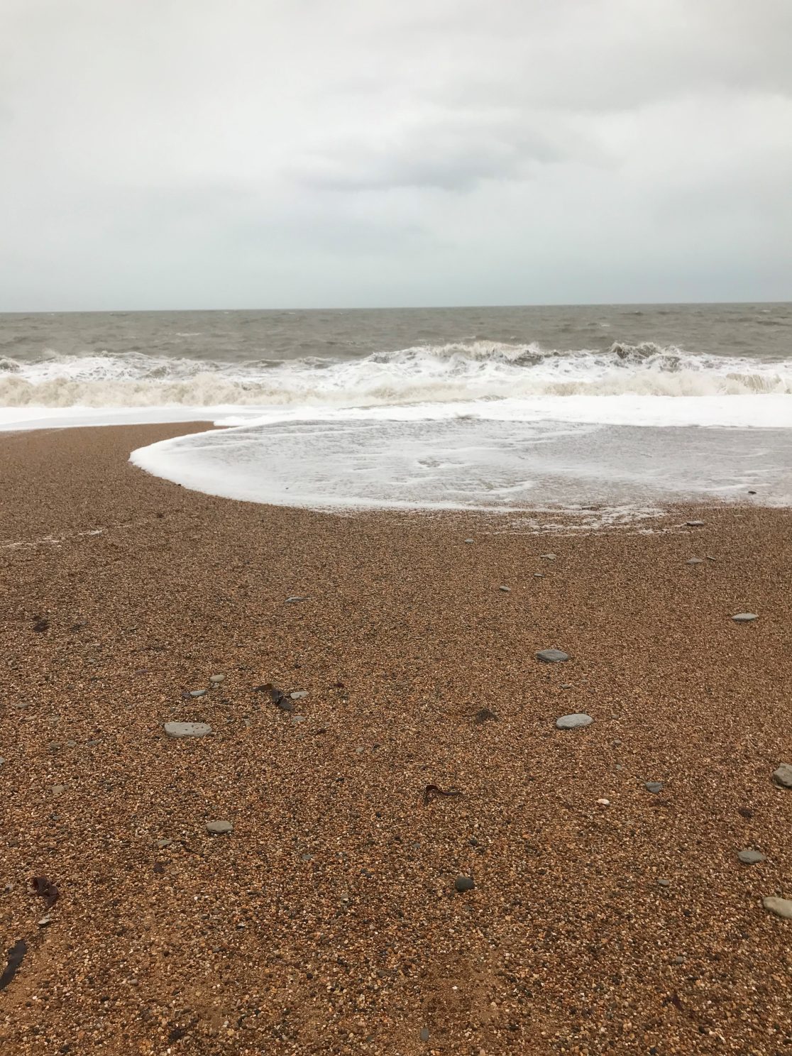 Little Toller Books | Independent publisher of new and classic nature ...