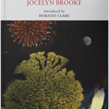 The Military Orchid (Nature Classic)