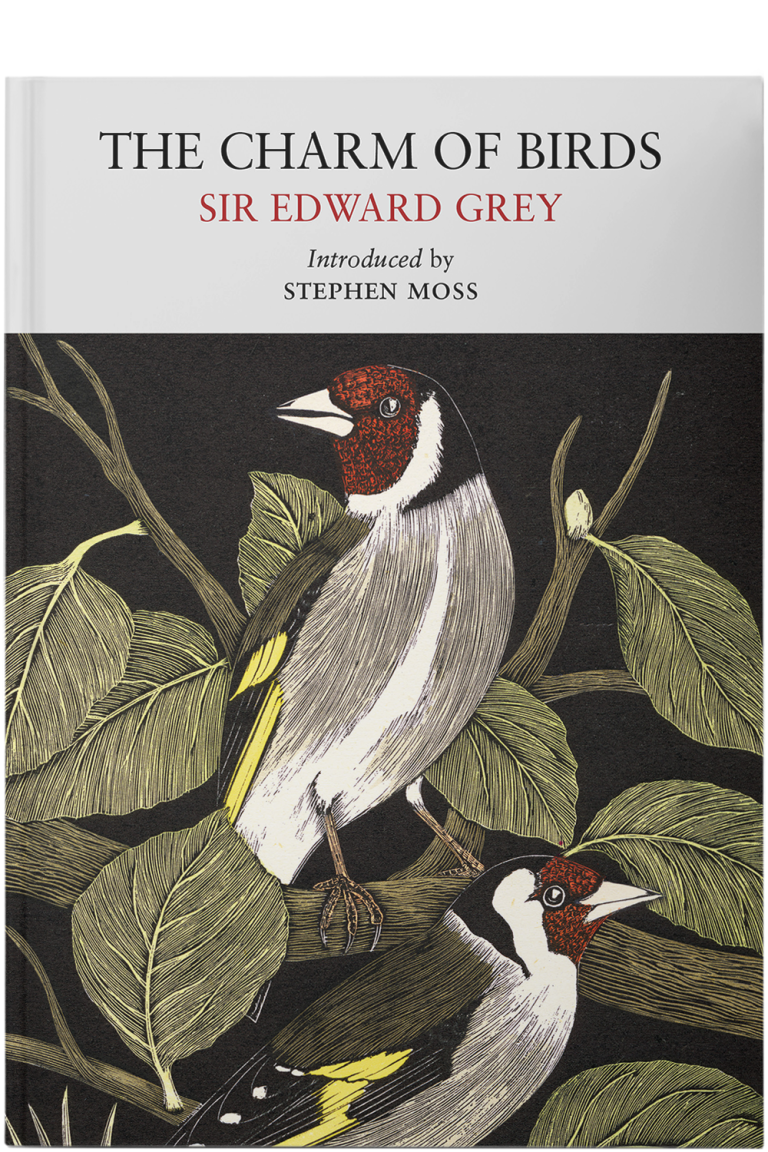 Little Toller Books | Independent publisher of new and classic nature ...