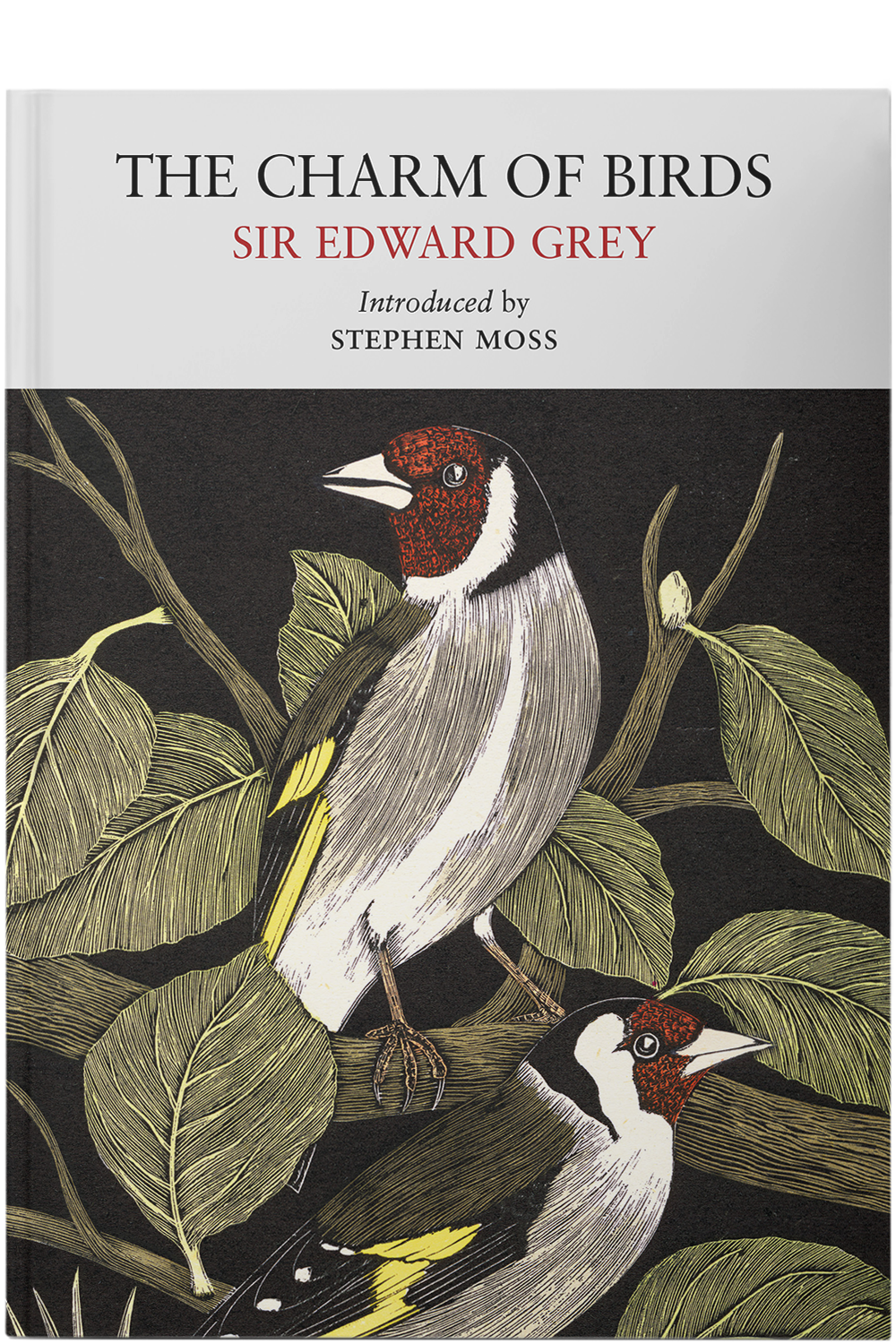 Charm of Birds (Nature Classic PB) 216x156